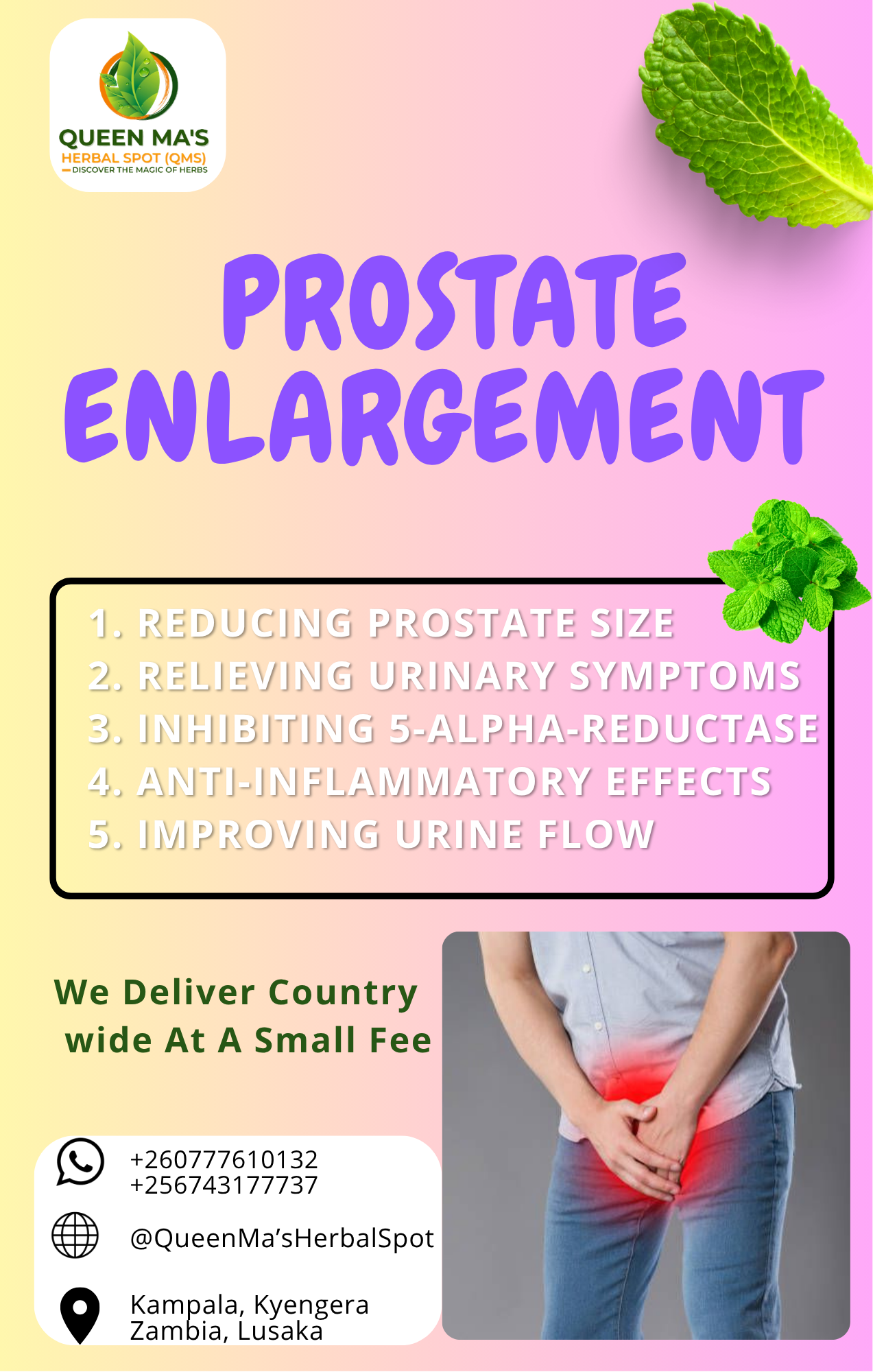 Prostate Herbal Remedy