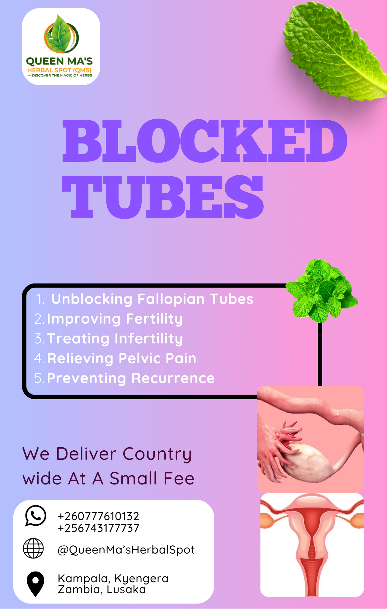Blocked Tubes Herbs