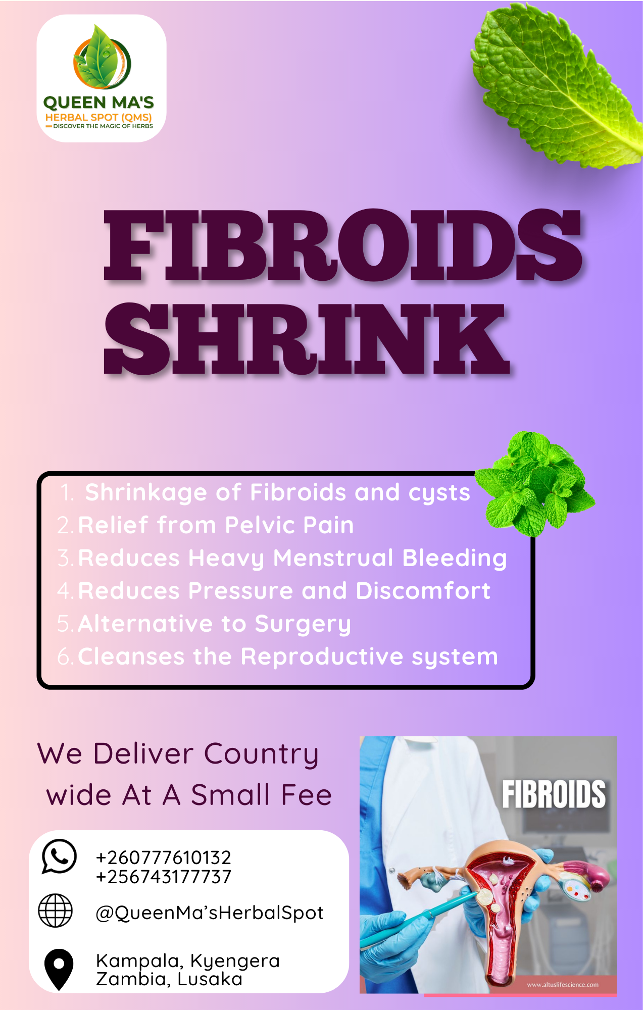 Fibroids Herbal Remedy