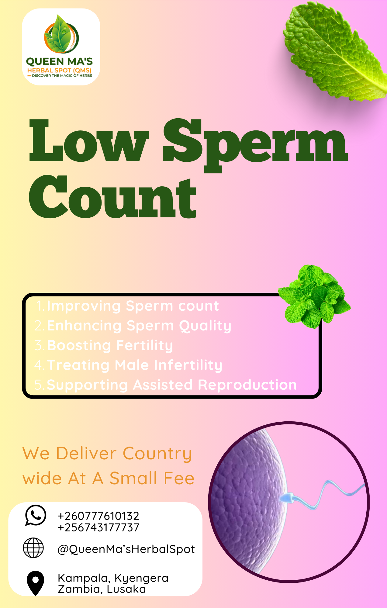 Low Sperm Count