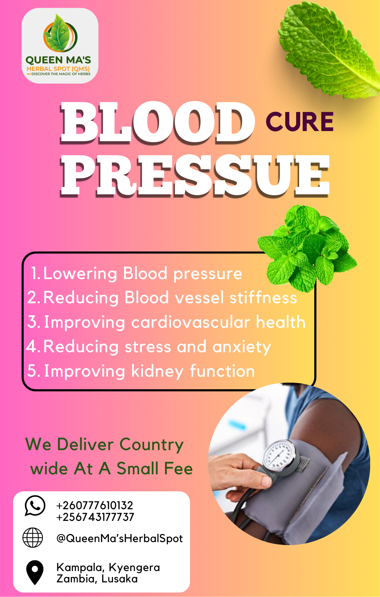 Blood Pressure Cure