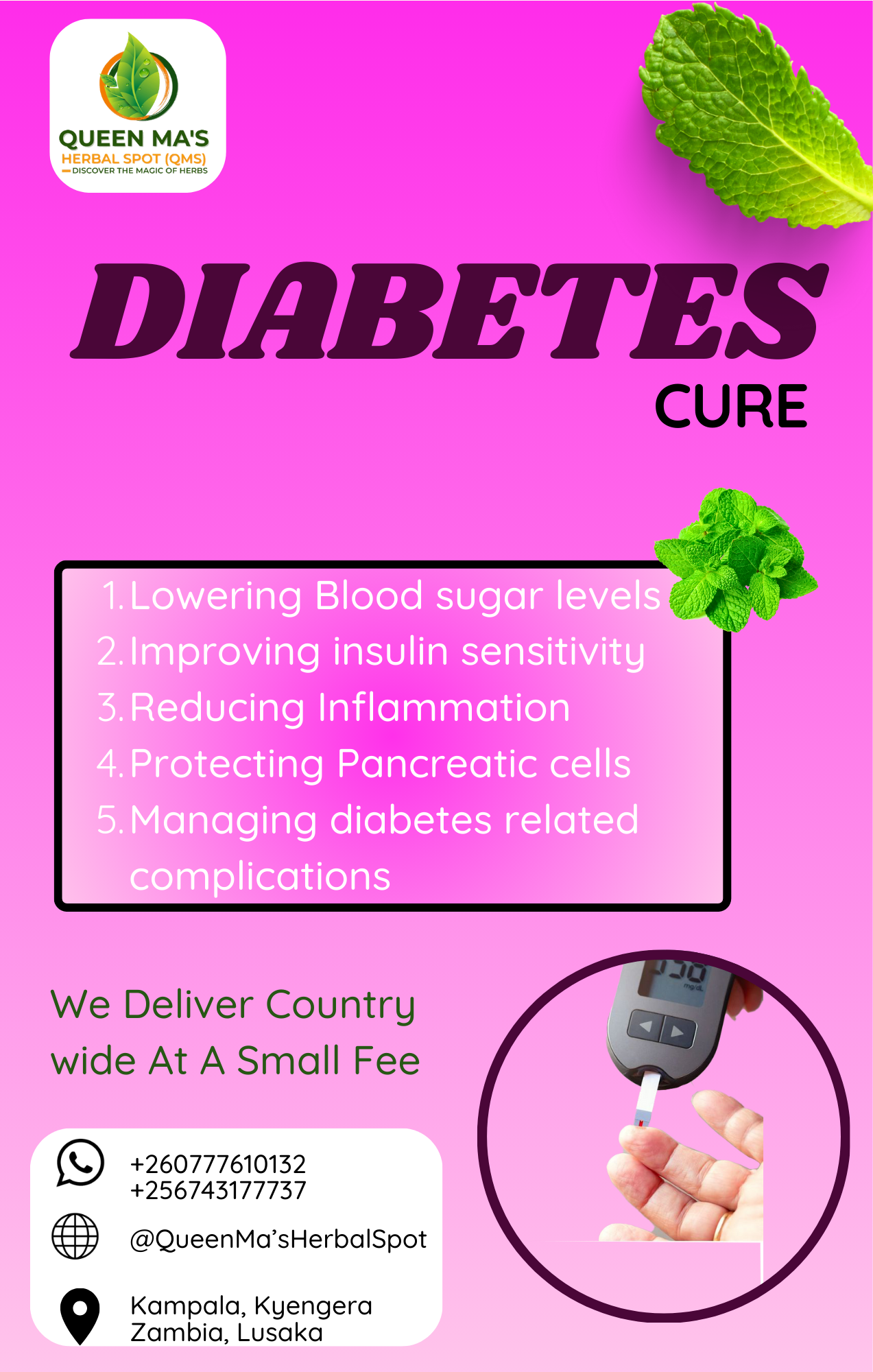 Diabetes Herbal Remedy